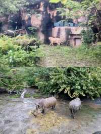 Exploring Taipei Zoo: Tips for a Great Visit