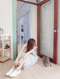Samatea Cafe - สมาธิ คาเฟ่นี้มีน้องแมว 