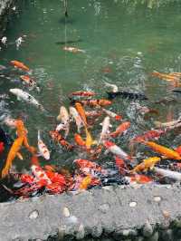 Huanhua Stream Park