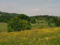 Chirk Castle: Where Medieval Might Meets Timeless Beauty