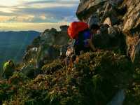 MOUNT APO