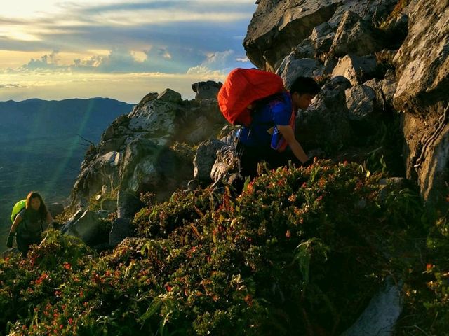 MOUNT APO