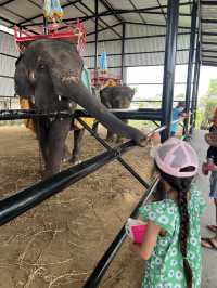 📍こどもとたのしむ【Sriayuthaya Lion Park】  動物との距離が近すぎて、大人も子供も楽しめる動物園