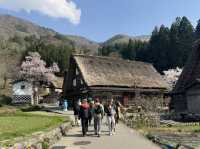 ⛰️ 白川郷・五箇山の合掌造り集落：雪国が育んだ日本の原風景 ❄️🏠