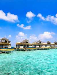 🌴 Angsana Velavaru Maldives: A Vibrant Escape into Barefoot Luxury