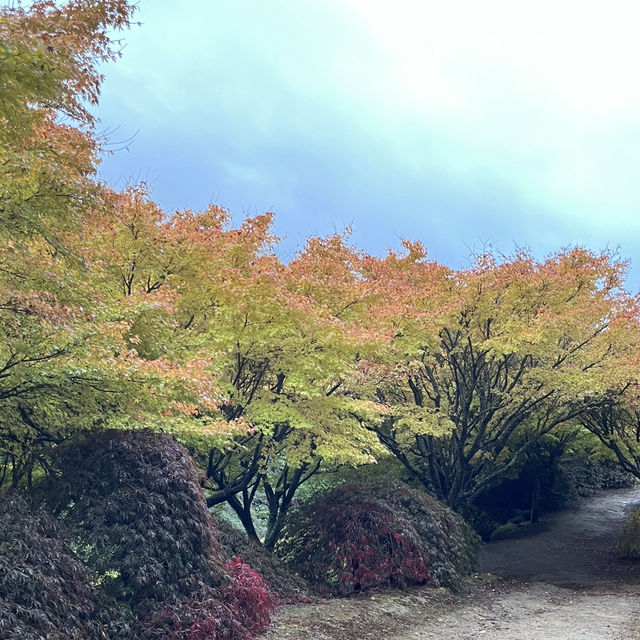 Tihiotonga Centennial Park散步探秘  🌳