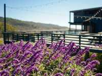 Weekend Retreat at Timber Cove