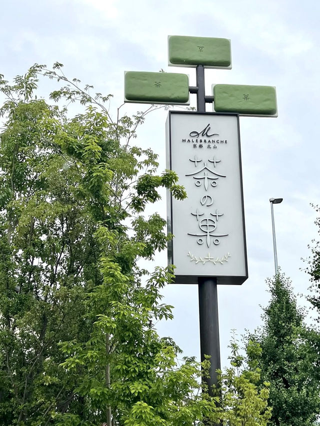 A Gentle Day in Yamashina – Temples, Trails & Tea