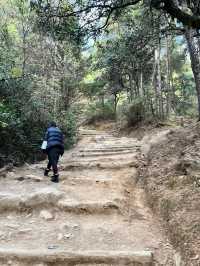Tiger’s Nest Monastery – A Sacred Trek That Tests Your Limits