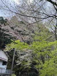九州黑川溫泉
