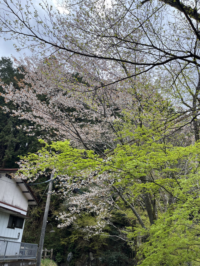 九州黑川溫泉
