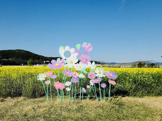 The Daegu Garden