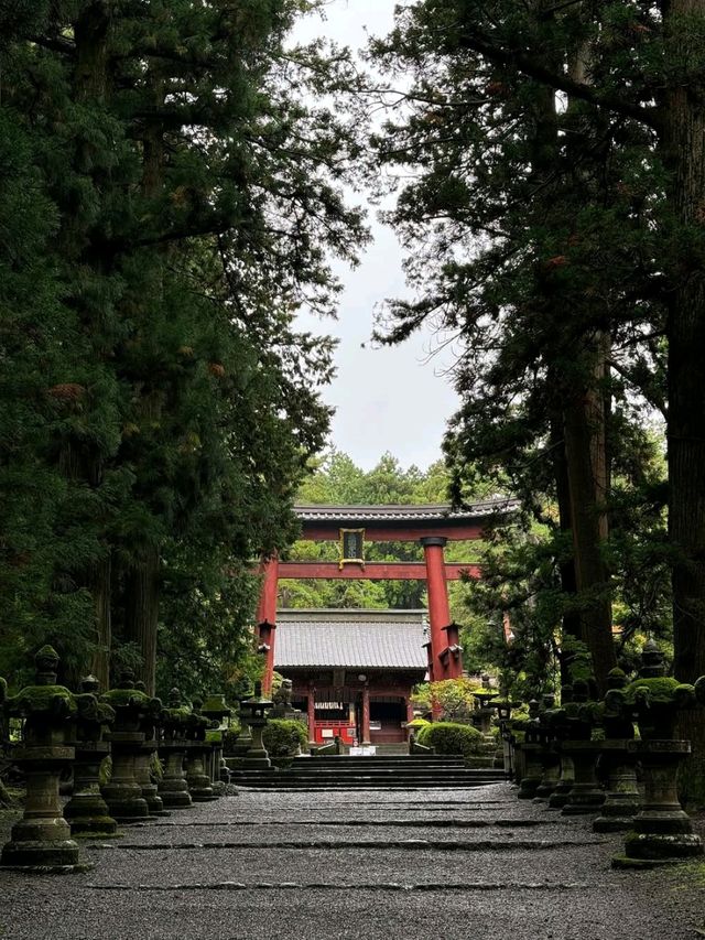 Spring Vibes & Shrine Feels