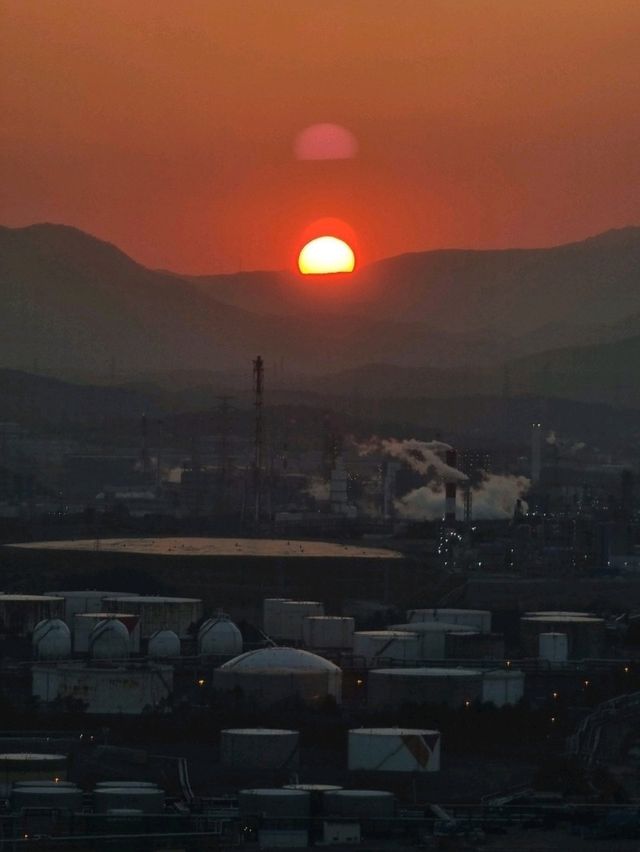 울산 하루 코스: 오전엔 숲, 오후엔 바다, 밤엔 관람차