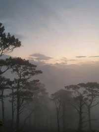 Conquering Mt. Pigingan: A Benguet Adventure