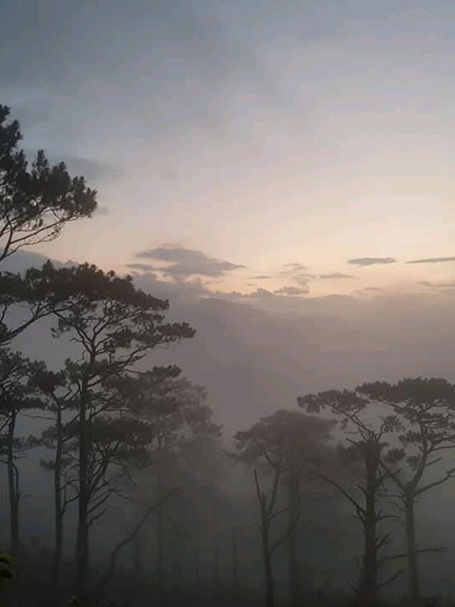 Conquering Mt. Pigingan: A Benguet Adventure