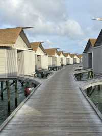 Maldives dream destination 