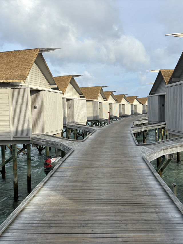 Maldives dream destination 