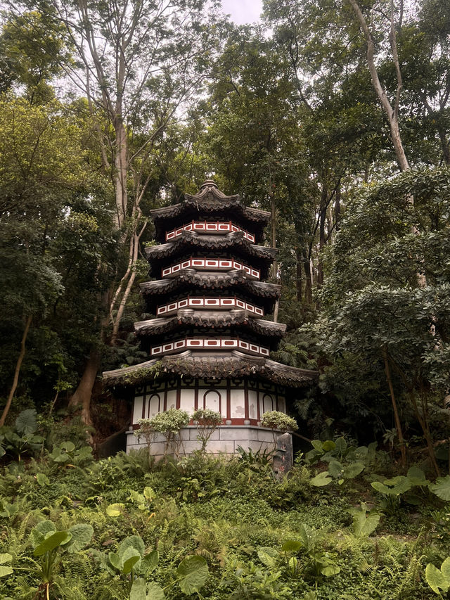 深圳國際園林花卉博覽園——不用花錢的好去處