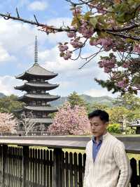 Day trip from Osaka to Nara
