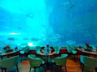 Deep Sea Cafeteria