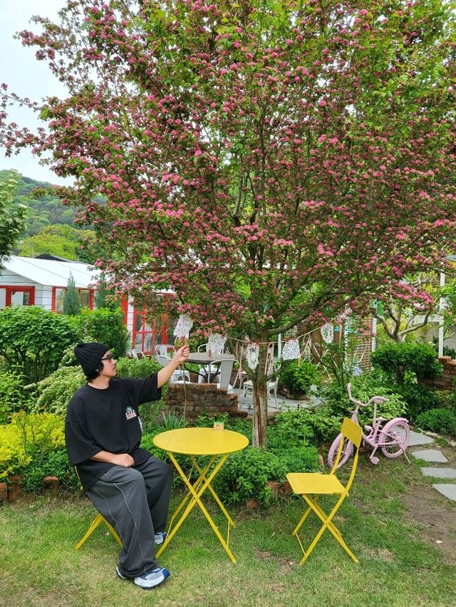 아기자기한 정원속 다양한 봄꽃을 만나는 카페