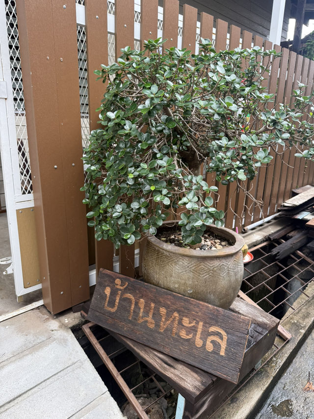 Baan Talay คาเฟ่ลับติดทะเลเปิดใหม่ ย่านศรีราชา