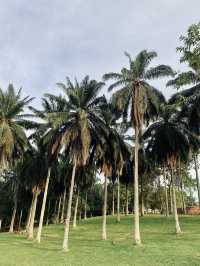 Weekend Plans? Let’s Cycle, Jog, Breakfast & More at Taman Botani Putrajaya!