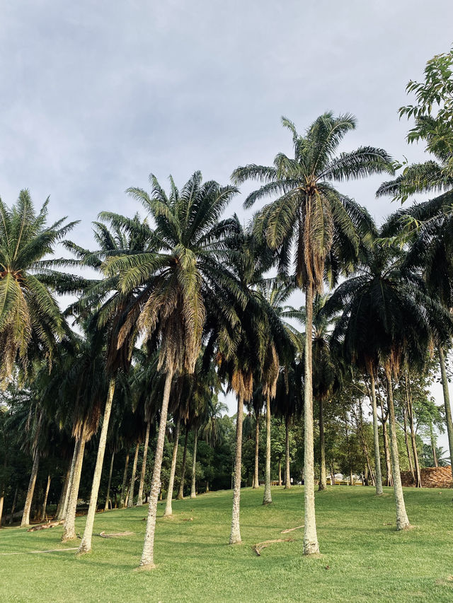 Weekend Plans? Let’s Cycle, Jog, Breakfast & More at Taman Botani Putrajaya!