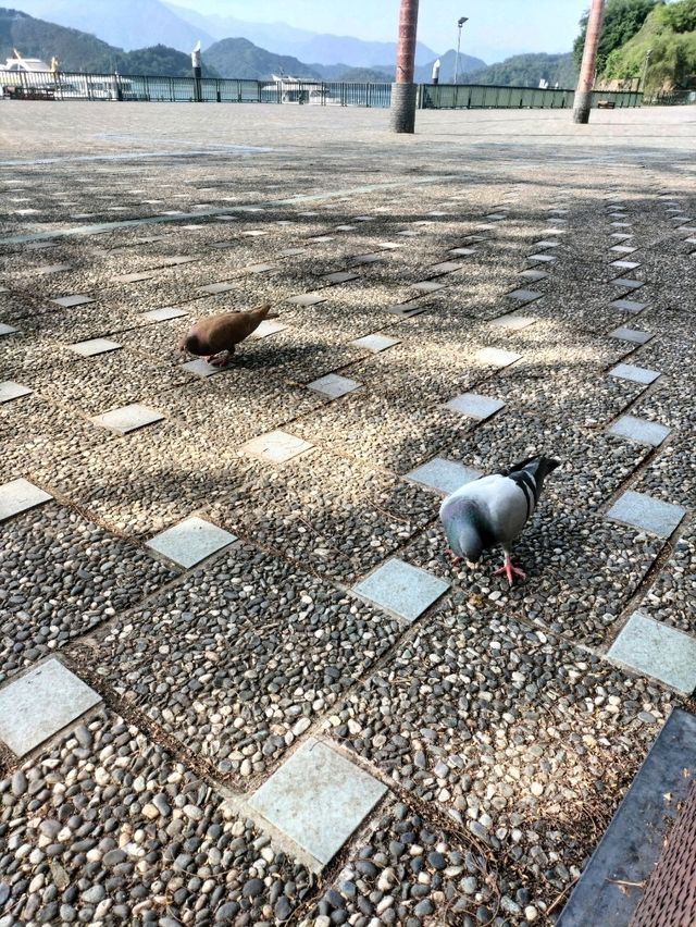 日月潭二日遊