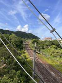 宜蘭龜山島賞鯨