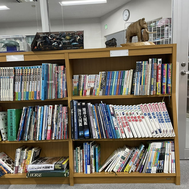 北海道でも珍しい‼️レア体験ができる博物館