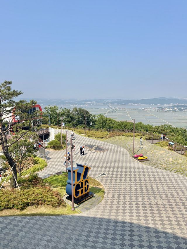 강화에서 꼭 체험해봐야하는 역대급 재미 루지🥰
