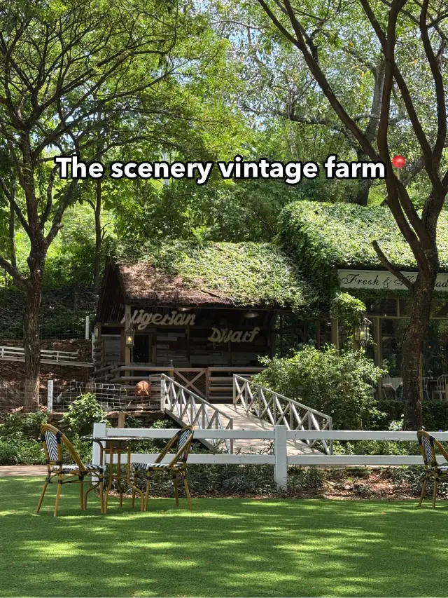The Scenery Vintage Farm สวนผึ้ง