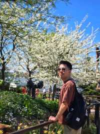 Little Island 📌 กับอากาศ 20 องศา 