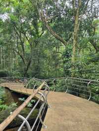 해외여행 브라질 이과수 조류동물원 Parque das Aves