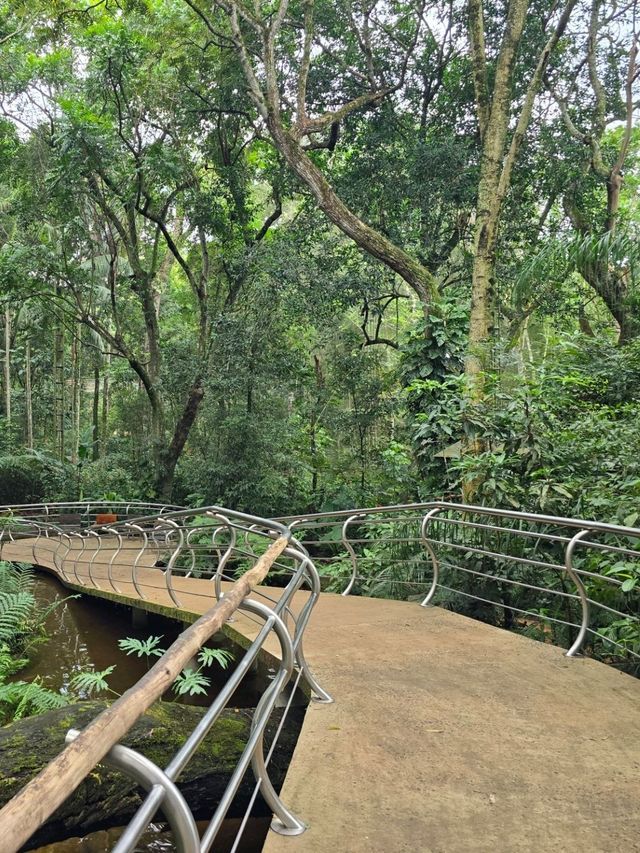 해외여행 브라질 이과수 조류동물원 Parque das Aves