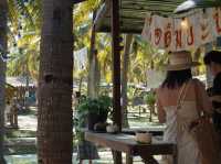 Coconut Dreams & Goat Glee at Chiang Mai’s Hidden Gem!  