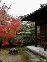 🍂【京都 祇園】心に風が吹くような静けさ。「建仁寺」で、禅と美の時間を🌬️🪷 