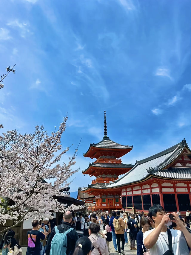 โอซาก้า🇯🇵