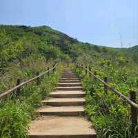 A Day Up Mudeungsan