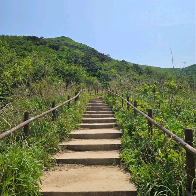 A Day Up Mudeungsan