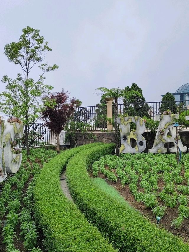 บานาฮิลล์ในวันเร่งรีบ🇻🇳