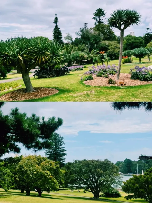 Capture Australia's City and Nature in One Day – Sydney City + Featherdale Itinerary Review