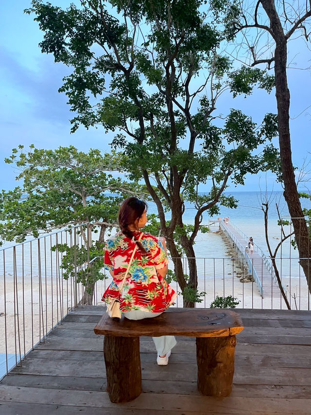 บ้านต้นไม้อวดชุม จ.ชุมพร🌊