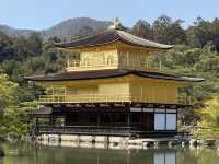 🍵 京都旅行 攻略ガイド｜伝統と感性が息づく街