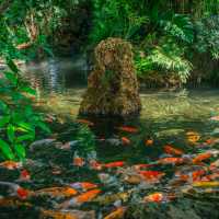  คาเฟ่ในป่าบรรยากาศสบายตาเขียวชะอุ่ม