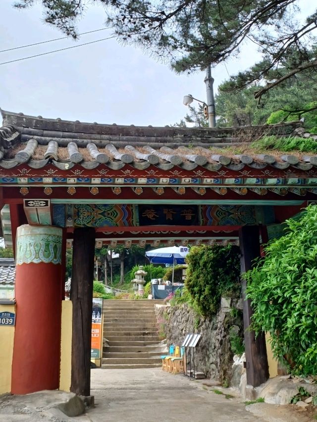 숲길과 바다가 함께하는 금동 약사여래의 고요한 쉼터