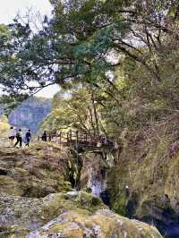 Into the Gorge: A Dreamy Day Trip from Fukuoka to Takachiho