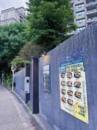 🌿桃園中壢散步秘境｜老街溪自行車道，綠蔭樹下的城市靜旅